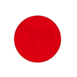 rond-rouge--removebg-preview